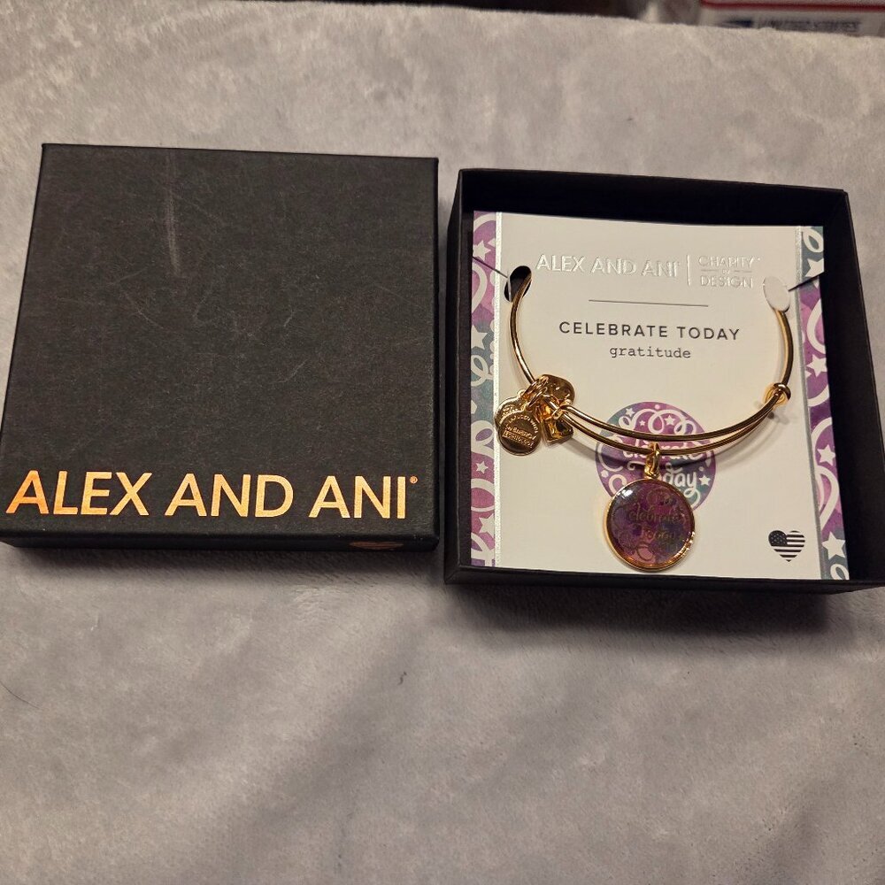 Alex and Ani Celebrate Today bracelet